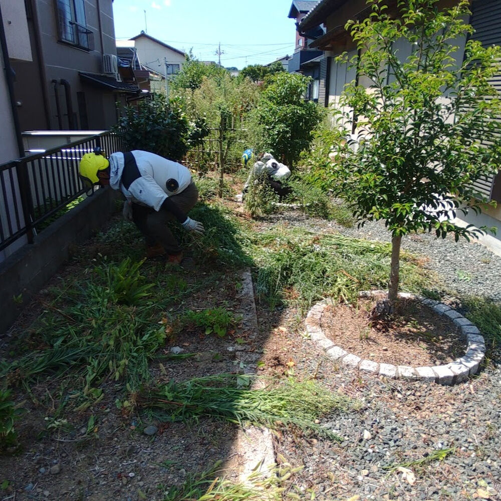 プロが教える木にまつわる豆知識