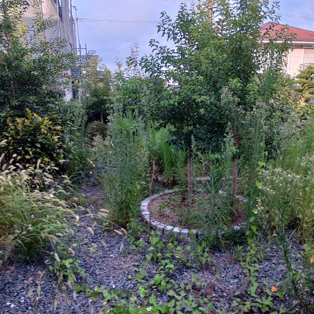 プロが教える木にまつわる豆知識