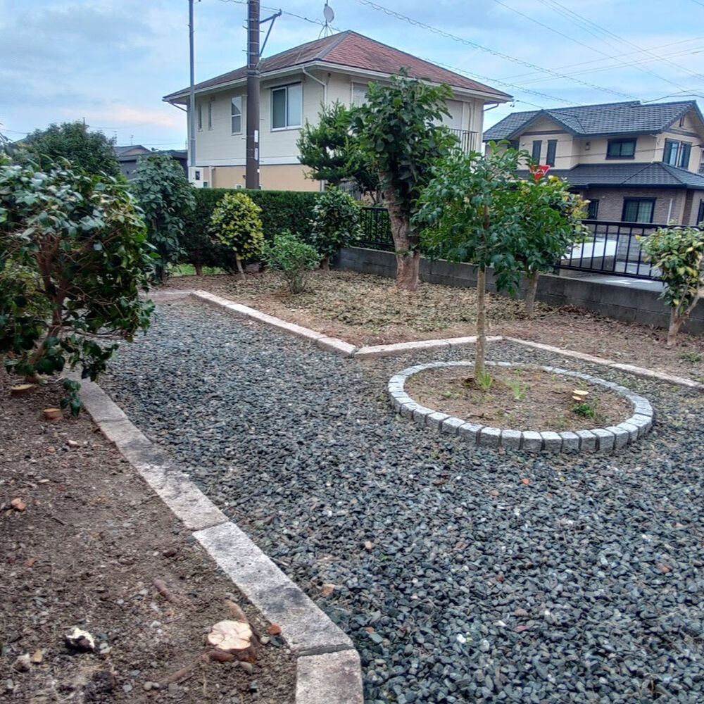 プロが教える木にまつわる豆知識
