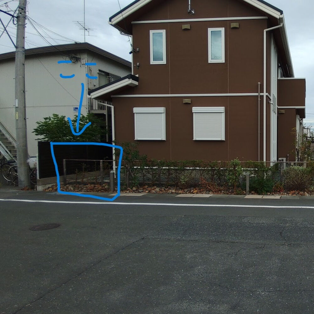 プロが教える木にまつわる豆知識