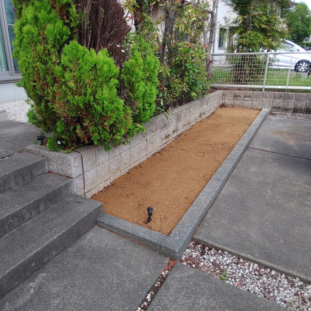 プロが教える木にまつわる豆知識