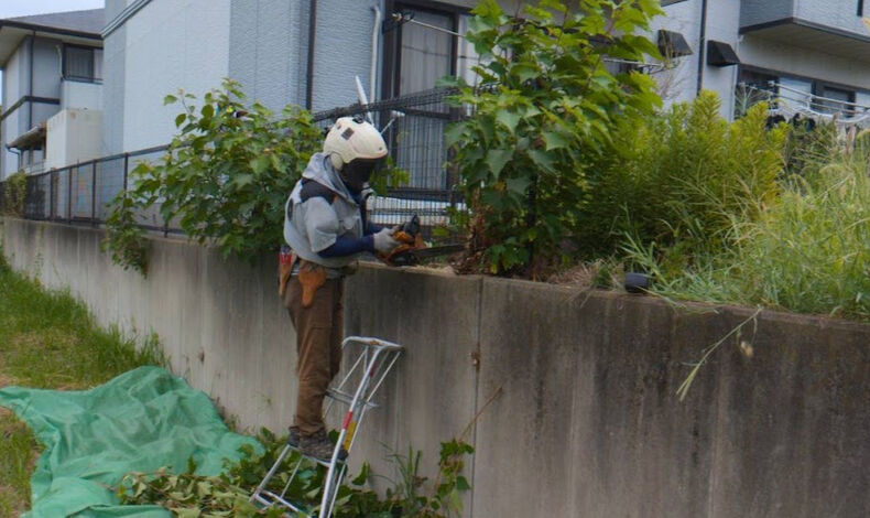画像3299