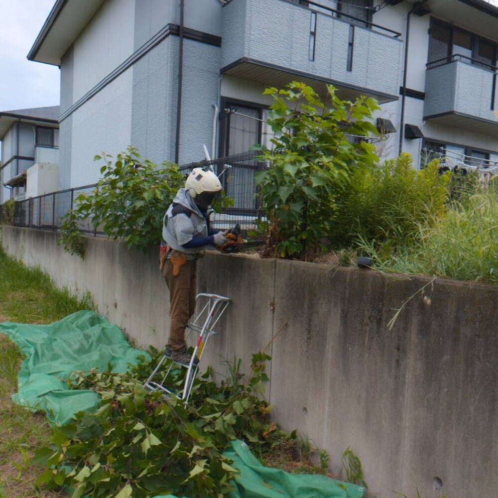 プロが教える木にまつわる豆知識