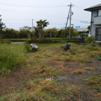 プロが教える木にまつわる豆知識
