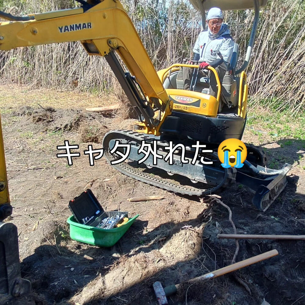 プロが教える木にまつわる豆知識
