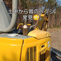 プロが教える木にまつわる豆知識